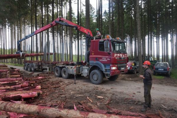 Nakladanie dreva pre ľudí, ktorí potrebujú pomoc po tornáde 