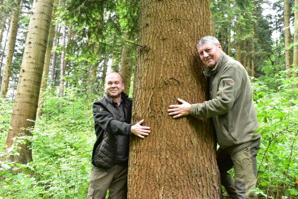 Jozef Jesenský (vpravo) a Vladislav Kotora pri nádhernej jedli, ktorú mohli dať vyrúbať a neurobili to 