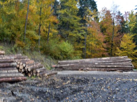 Ilustračné foto: Jozef Marko 