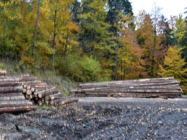 Ilustračné foto: Jozef Marko 