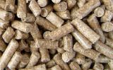 Pelety, brikety alebo kusov&eacute; drevo?