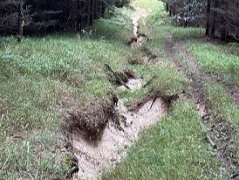 Vznik strže pod lesom 