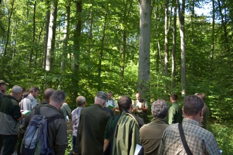 Lesníci diskutujúci o tzv. prírode blízkych postupoch v poraste na Kráľovčíku