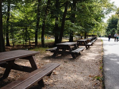 Zdroj: FB stránka Mestské lesy v Bratislave 