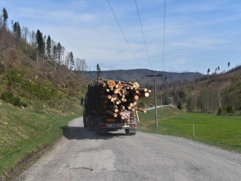 Spracovanie kalamity pri Čiernom Balogu 