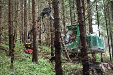 Konkurencieschopnosť lesníctva zvyšuje nasadenie moderných technológií v lesoch 