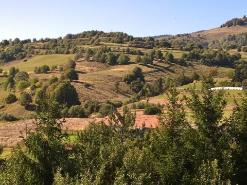 Agrolesníctvo v krajine 