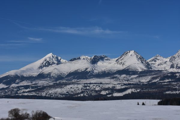 Pohľad na tatranské končiare