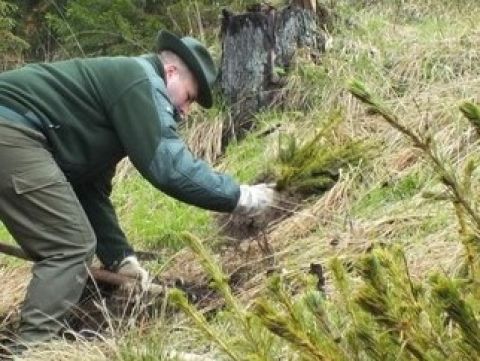 Zdroj: FB stránka LESY SR š. p. 