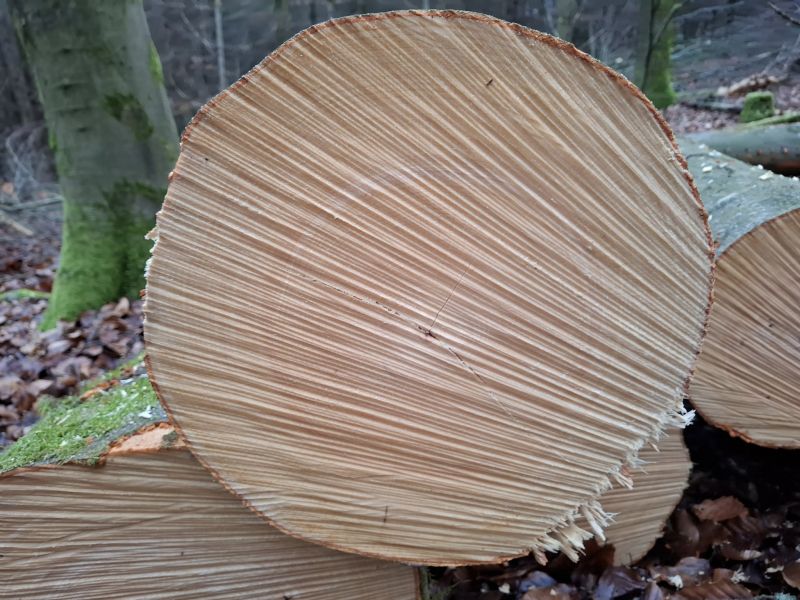 Zdroj: FB profil Ing. Róberta Gombárika 