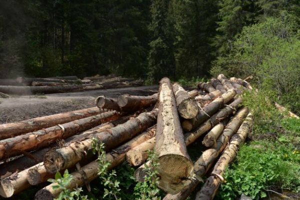 Ilustračn&eacute; foto Jozef Marko