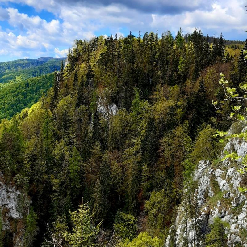 Skala Tatárka v Národnej prírodnej rezervácii Poludnica 