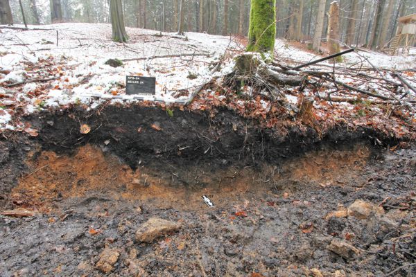 Stredovený milier ako zdroj prieskumu archeologického dreva