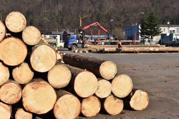 Ilustračné foto: Jozef Marko 