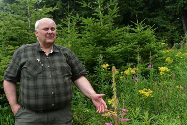 Ing. Pavol Iždinsk&yacute; pri skupinovej v&yacute;sadbe jedle a smreka na obnoven&yacute;ch kalamitn&yacute;ch ploch&aacute;ch