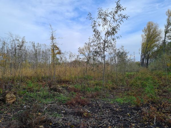 Foto Lenky Matejdesovej k publikovan&eacute;mu statusu