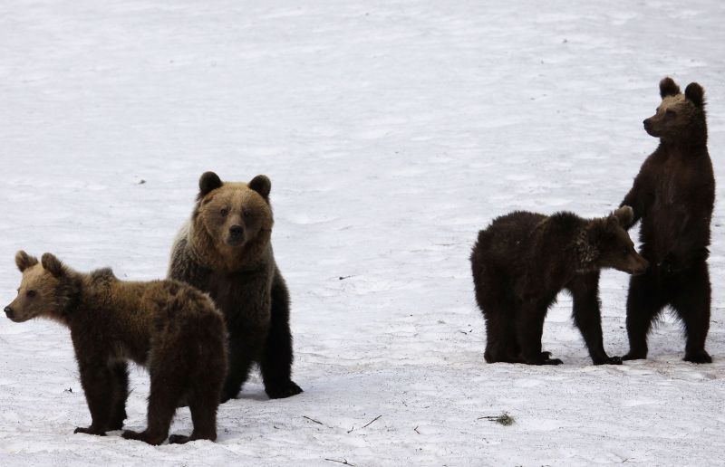 Ilustračn&eacute; foto: Ing. Pavol Lenko 