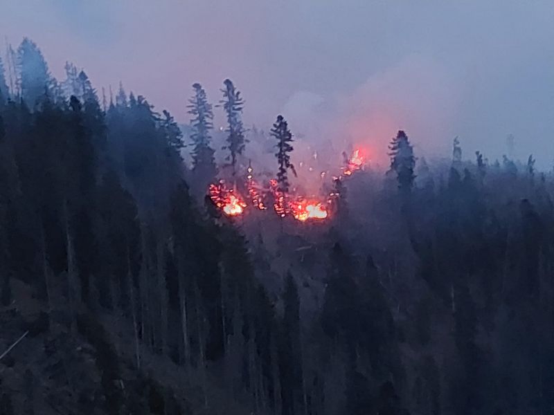 Lesný požiar v Bobroveckej doline 