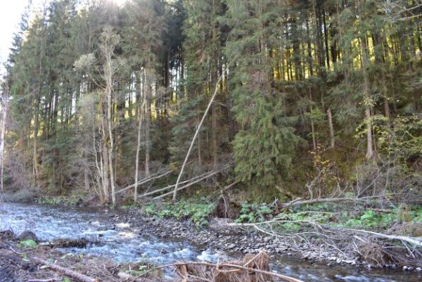 Pr&iacute;roda pri Čiernom V&aacute;hu 