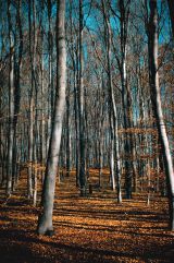 V spleti ciest a pobl&uacute;den&iacute; od Ondreja Dubničku