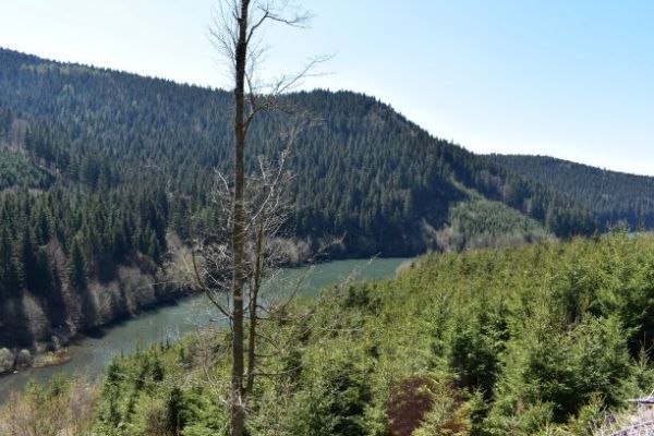 Kremnick&eacute; mestsk&eacute; lesy v okol&iacute; Vodnej n&aacute;drže Turček 