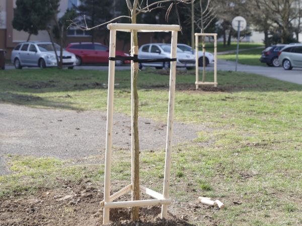 Ilustrační foto: FB stránka Mestskej zelene Košice 
