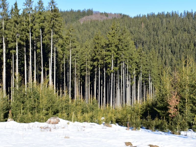 Ilustračné foto: Jozef Marko 