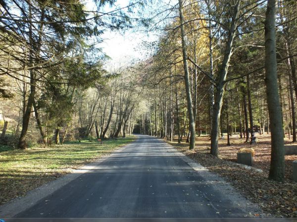 Štátne lesy prispejú na opravu ciest