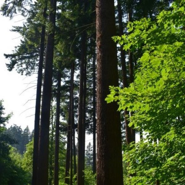 Ilustračn&eacute; foto Jozef Marko