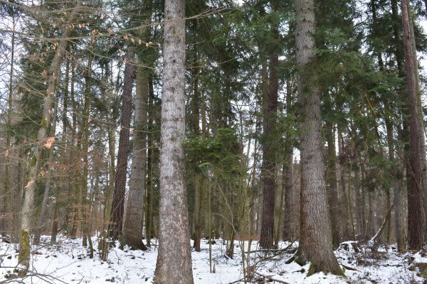 Ilustračné foto Jozef Marko