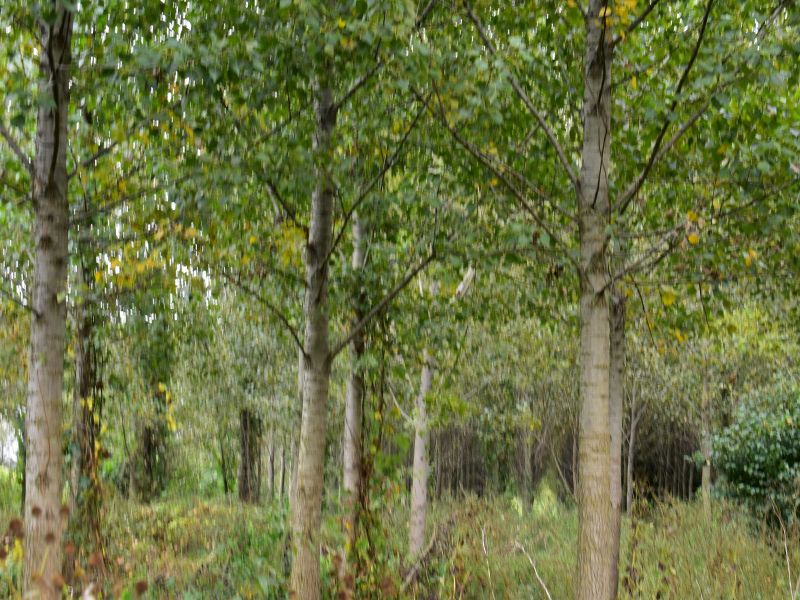 Ilustračné foto: Jozef Marko 