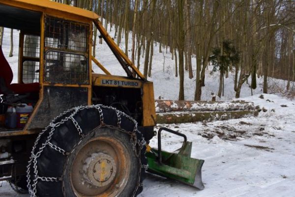 Ilustračn&eacute; foto Jozef Marko
