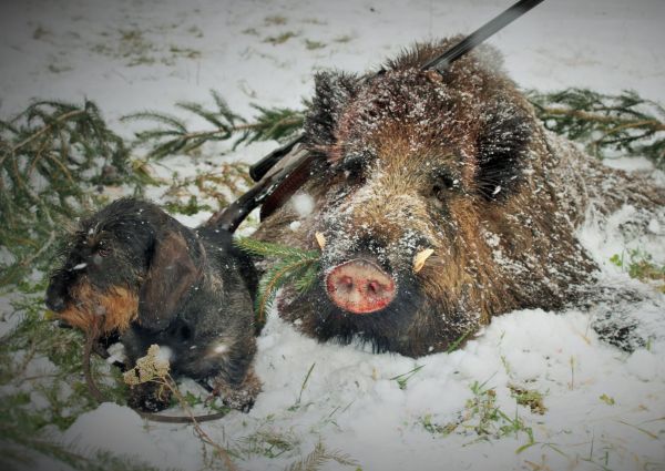 Foto: Ing. Ľudovít Pitoňák 