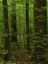 Ilustračn&eacute; foto