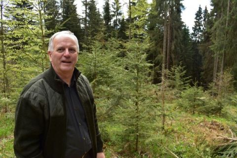 Ing. Cyril Bábeľa st. popisuje, ako postupujú lesníci na Muránskej planine pri obnove porastov