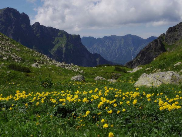 Ilustračné foto: Ing. Ján Slivinský 