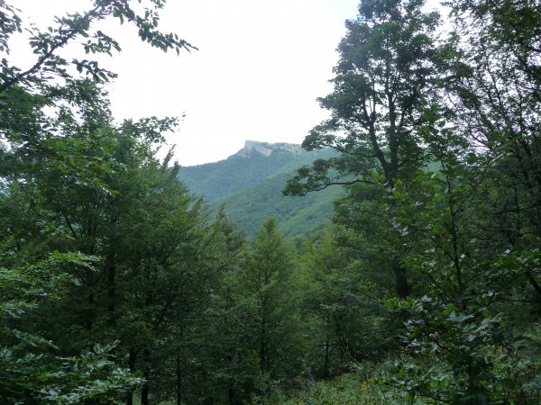 Ilustračn&eacute; foto Jozef Marko