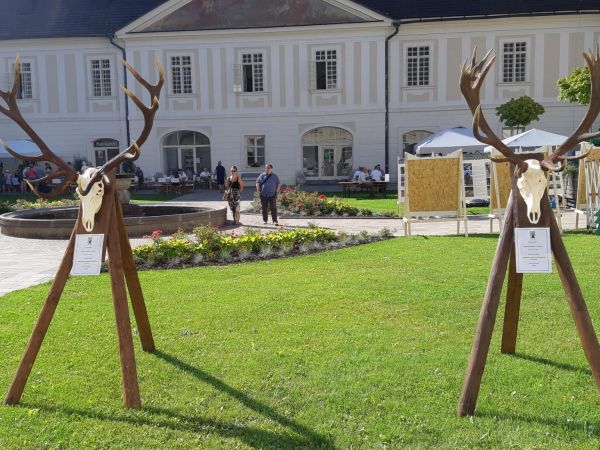 Zdroj: FB stránka LESY SR š. p. 