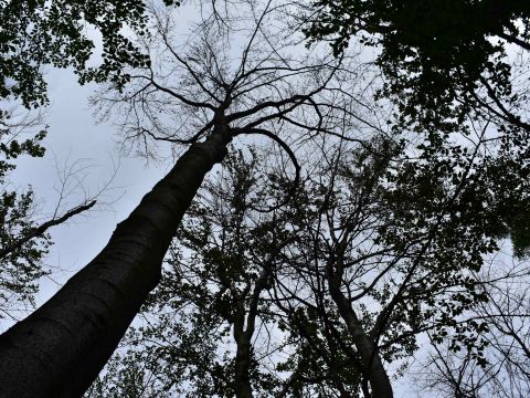 Ilustračné foto: Jozef Marko 