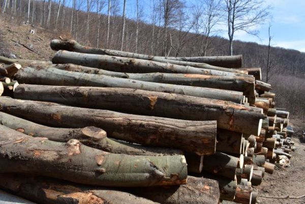 Ilustračn&eacute; foto Jozef Marko