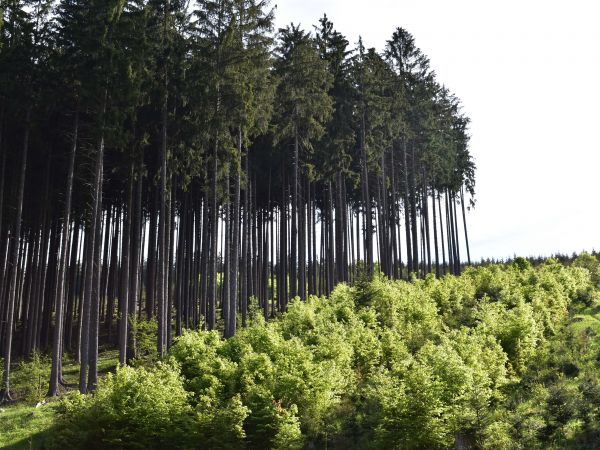 Ilustračné foto: Jozef Marko 