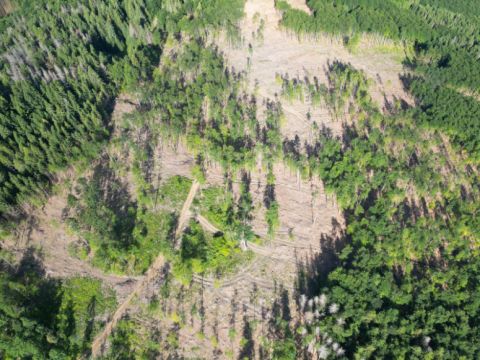 Kalamita na Horehroní 