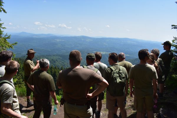 Košickí mestskí lesníci v lete tohto roka na Poľane