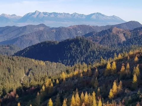 Nízke Tatry