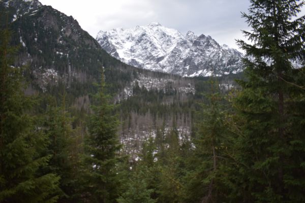 Ilustračné foto Jozef Marko