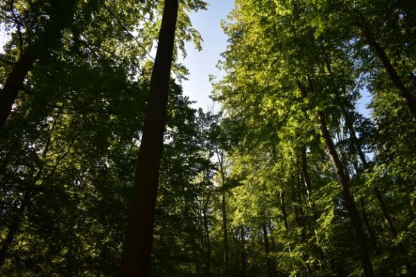 Ilustračn&eacute; foto Jozef Marko