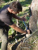 V&yacute;skumn&iacute;ci z TANAP-u: Starať sa o les je aj z pohľadu ekosyst&eacute;mov&yacute;ch služieb v&yacute;hodnej&scaron;ie ako ho nechať na samov&yacute;voj