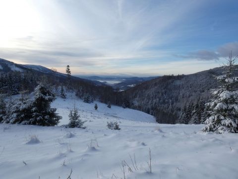 Zimná scenéria na Muránskej planine 