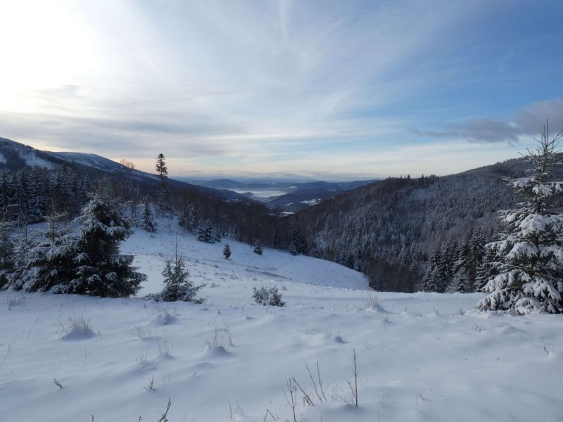 Polemika o verejnom obstarávaní na ťažbu dreva v Národnom parku Muránska planina: Štátny tajomník envirorezortu reaguje na kritiku opozičnej strany