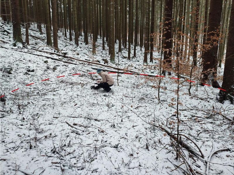 N&aacute;lez milieriska v Turci